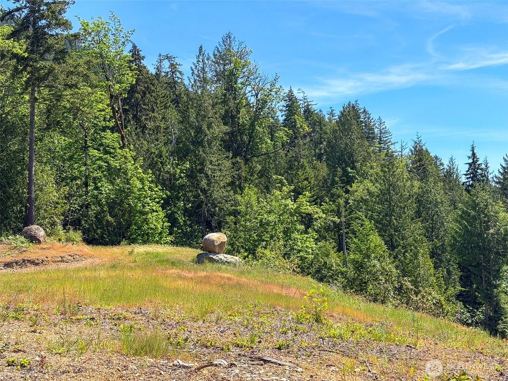 111 XXX Rocky Brook Road, Brinnon, WA 98320