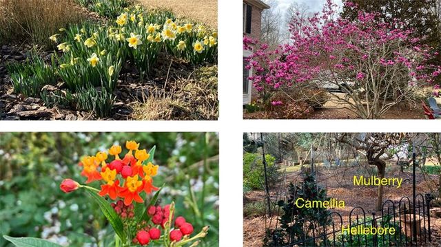 3118 Hampton Ives Court, Duluth, GA 30096