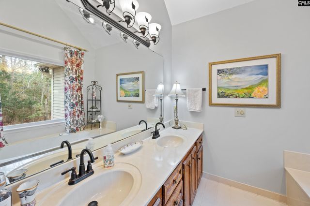 343 Night Harbor Drive, Chapin, SC 29036