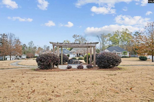 343 Night Harbor Drive, Chapin, SC 29036