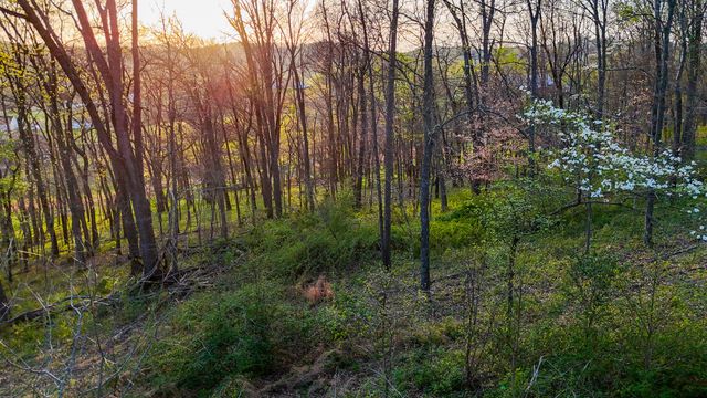 0 John Brinkley Rd, Shelbyville, TN 37160