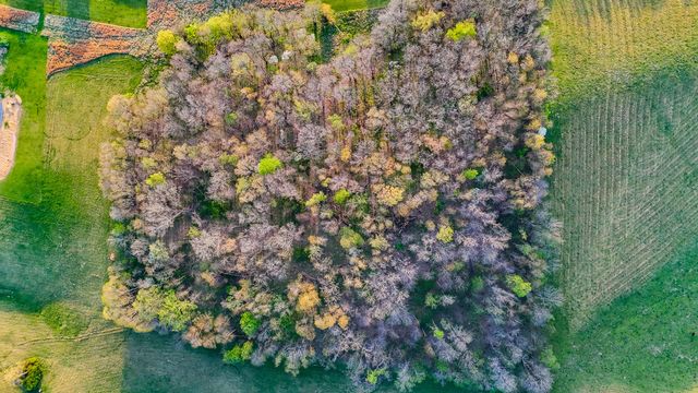 0 John Brinkley Rd, Shelbyville, TN 37160