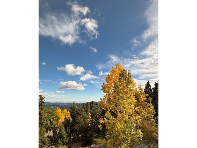 10766 Timothys Dr, Conifer, CO 80433