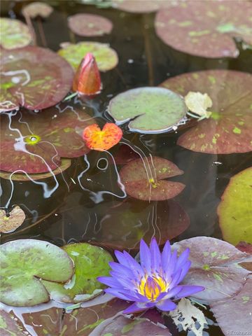 3311 N Josephine Street, Denver, CO 80205