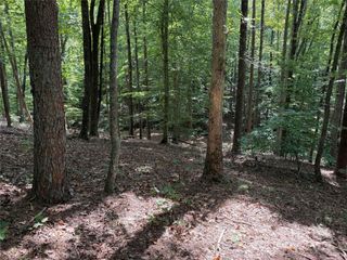 0 Mountain Brook Trail 298, Nebo, NC 28761