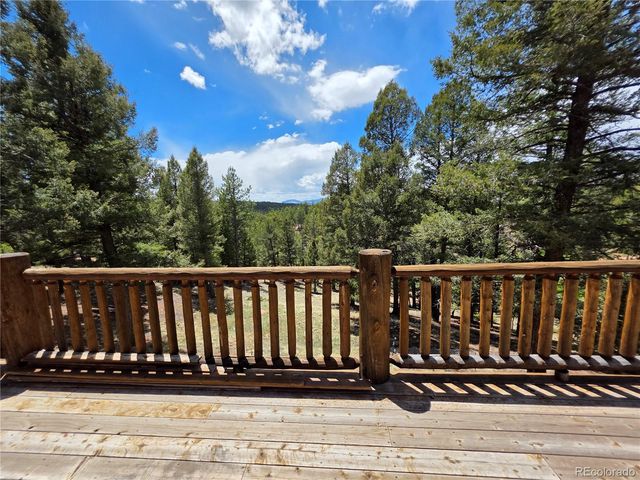 17 Deer Lake Circle, Divide, CO 80814