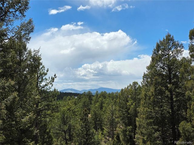 17 Deer Lake Circle, Divide, CO 80814
