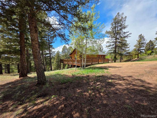 17 Deer Lake Circle, Divide, CO 80814