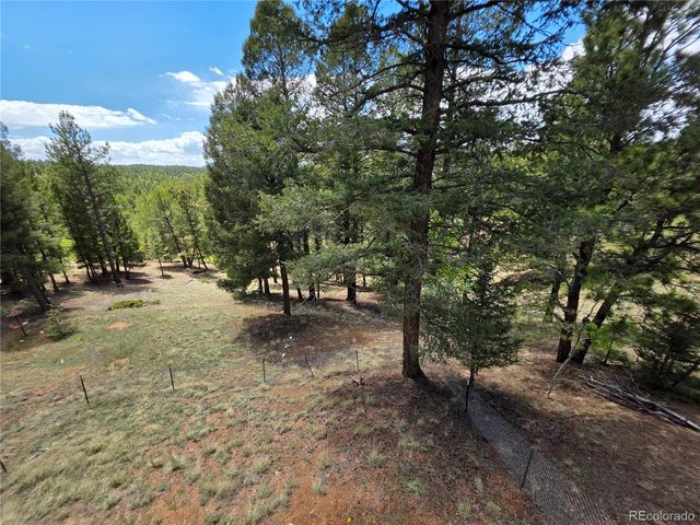 17 Deer Lake Circle, Divide, CO 80814