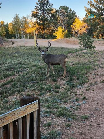 17 Deer Lake Circle, Divide, CO 80814