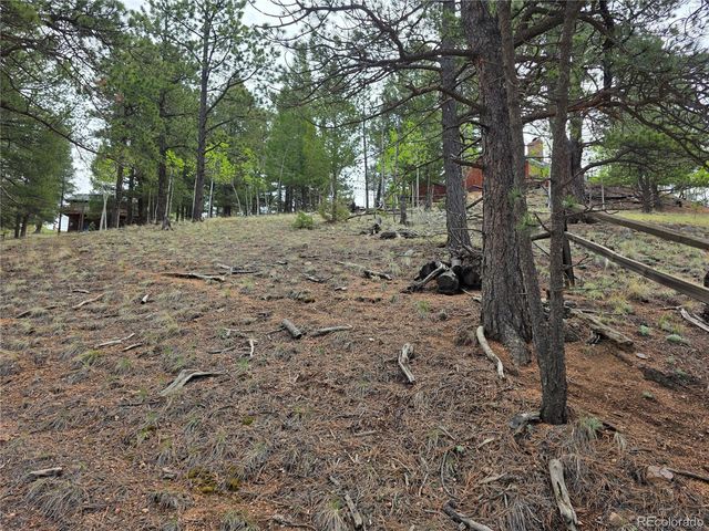 17 Deer Lake Circle, Divide, CO 80814