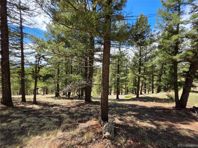 17 Deer Lake Circle, Divide, CO 80814
