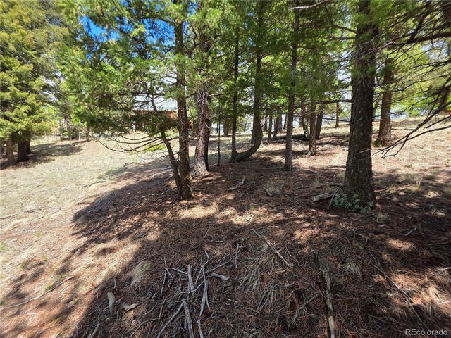 17 Deer Lake Circle, Divide, CO 80814