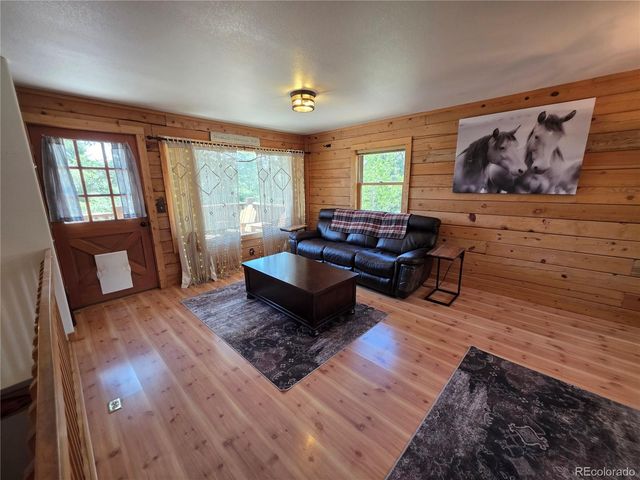 17 Deer Lake Circle, Divide, CO 80814