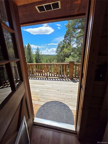 17 Deer Lake Circle, Divide, CO 80814