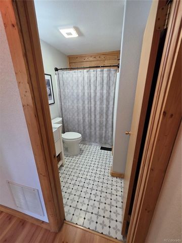 17 Deer Lake Circle, Divide, CO 80814