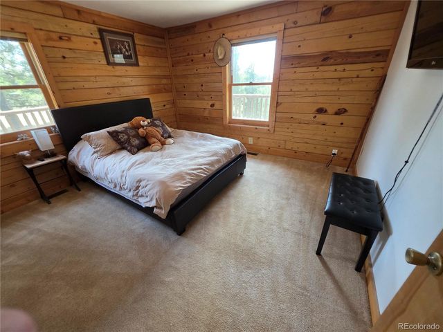 17 Deer Lake Circle, Divide, CO 80814