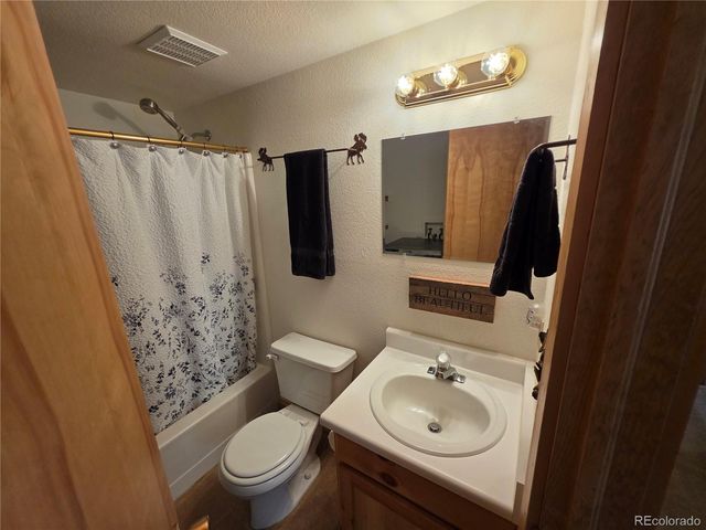 17 Deer Lake Circle, Divide, CO 80814