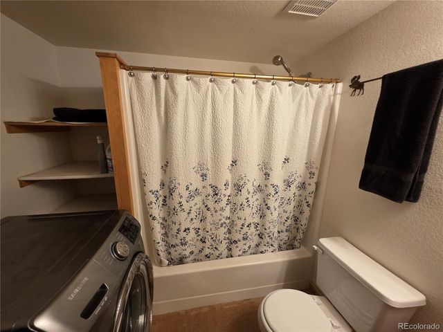 17 Deer Lake Circle, Divide, CO 80814