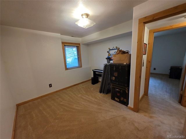 17 Deer Lake Circle, Divide, CO 80814