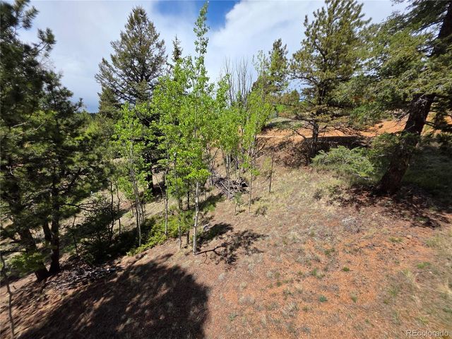 17 Deer Lake Circle, Divide, CO 80814