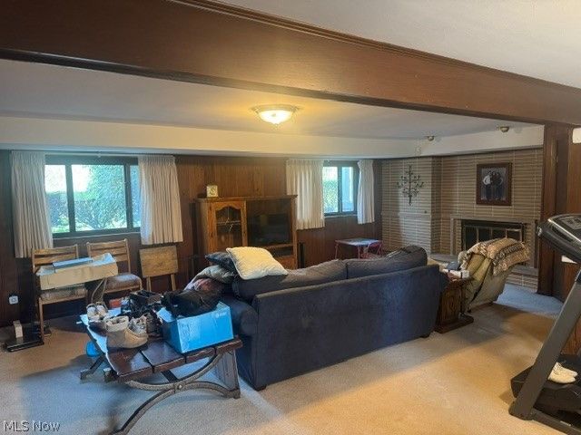 525 Brookpark, Canfield, OH 44406