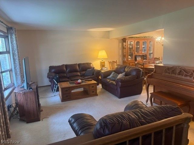 525 Brookpark, Canfield, OH 44406
