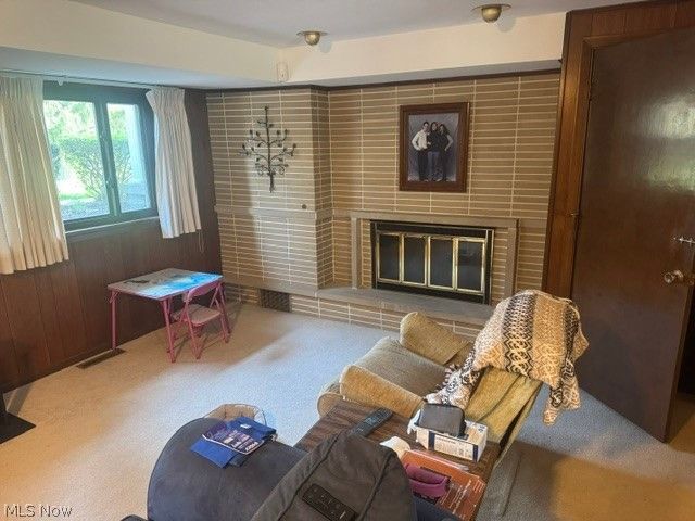 525 Brookpark, Canfield, OH 44406