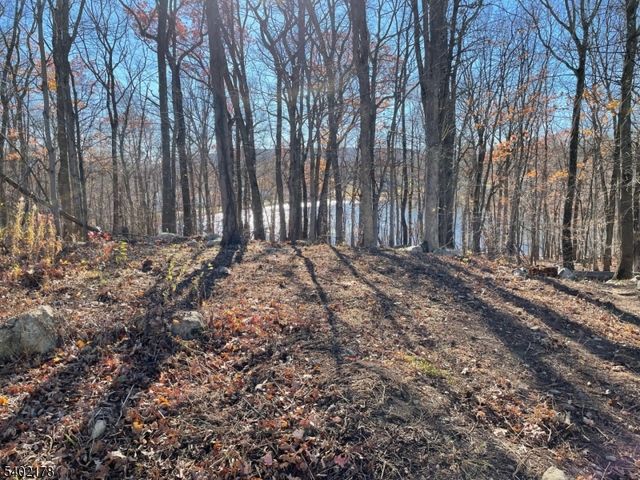 17 Rosemont Rd, Jefferson Twp., NJ 07438