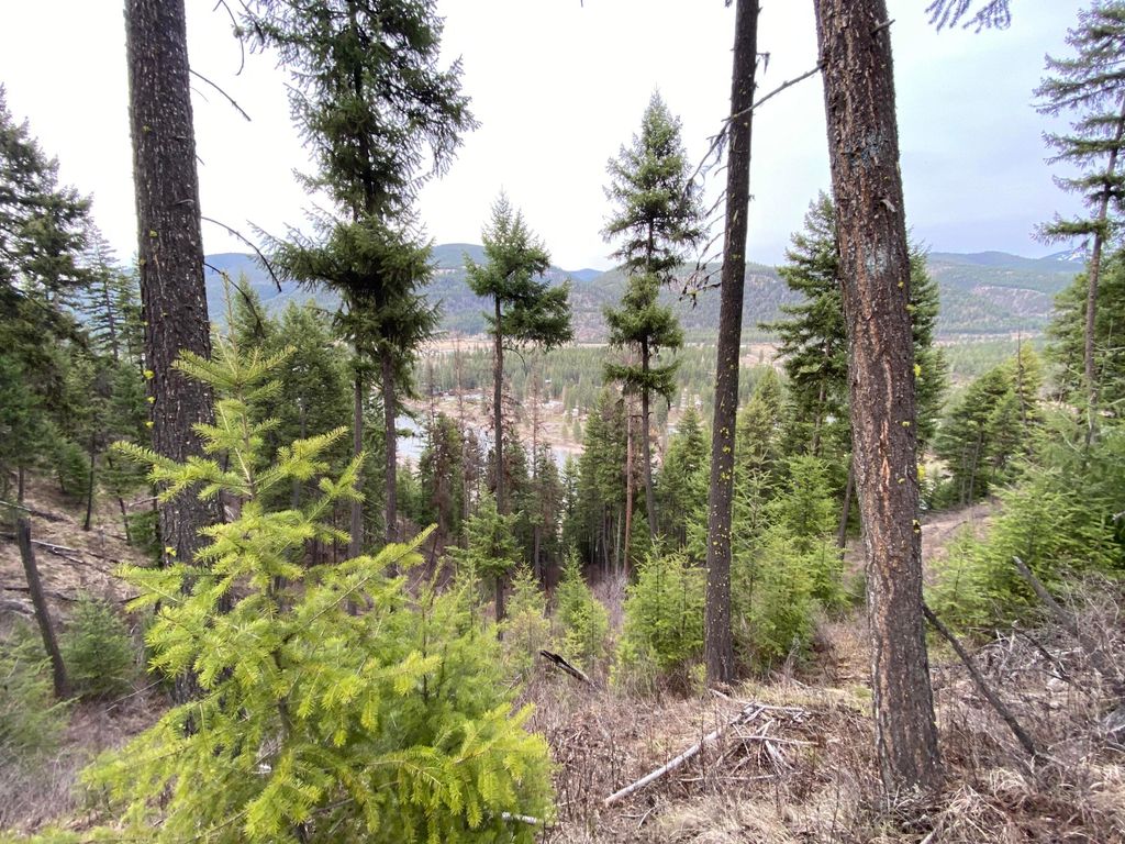 Nhn Cyr Iron Mountain Road, Superior, MT 59872 photo 11