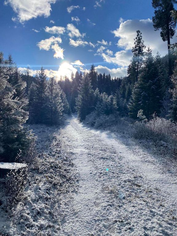 Nhn Cyr Iron Mountain Road, Superior, MT 59872 photo 16