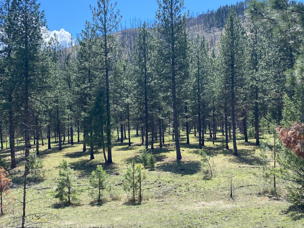 Nhn Cyr Iron Mountain Road, Superior, MT 59872 photo 20