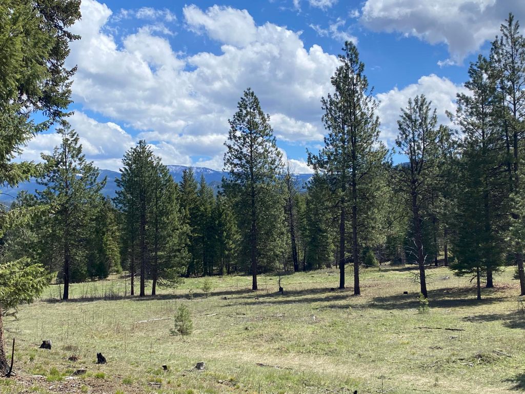 Nhn Cyr Iron Mountain Road, Superior, MT 59872 photo 21