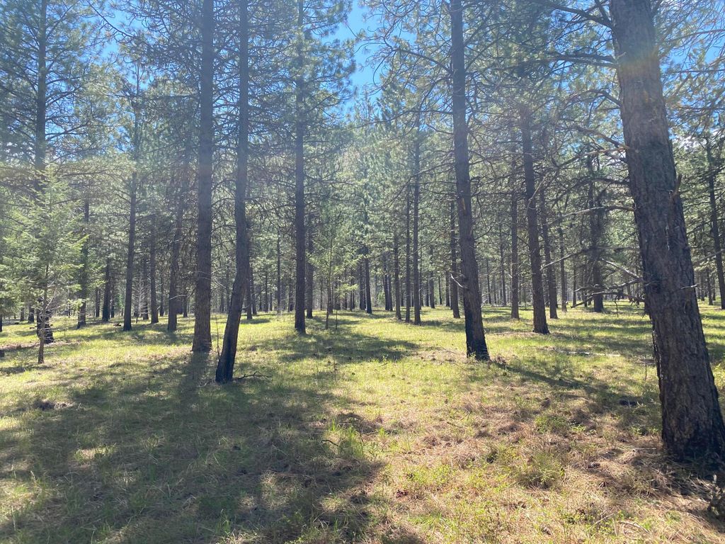 Nhn Cyr Iron Mountain Road, Superior, MT 59872 photo 23