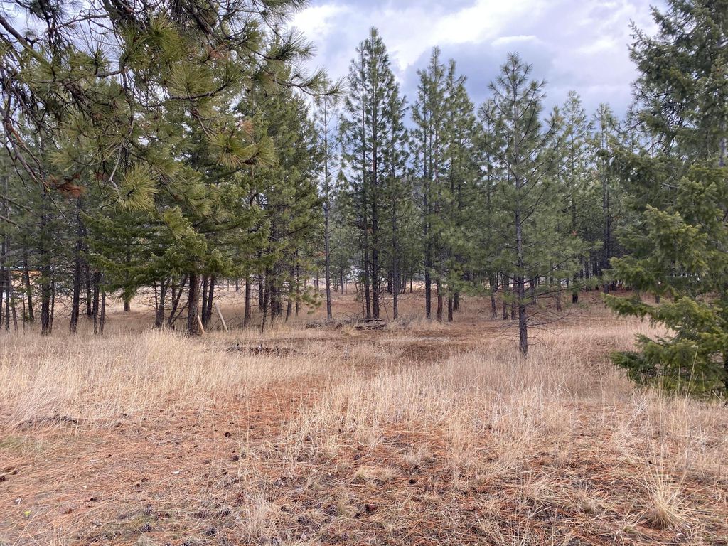 Nhn Cyr Iron Mountain Road, Superior, MT 59872 photo 3