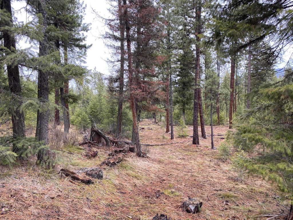 Nhn Cyr Iron Mountain Road, Superior, MT 59872 photo 9