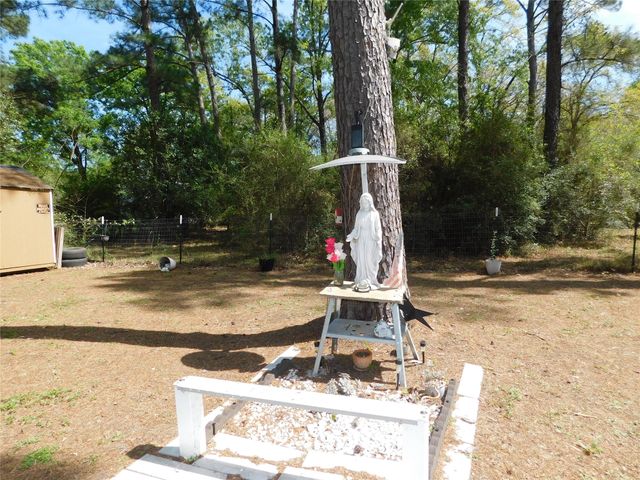 360 Aaron Avenue, Livingston, TX 77351