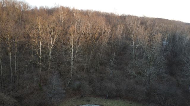 4050 River Road 4050 River Road, Sidney, OH 45365