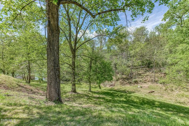 255 Willmary Road, Piney Flats, TN 37686