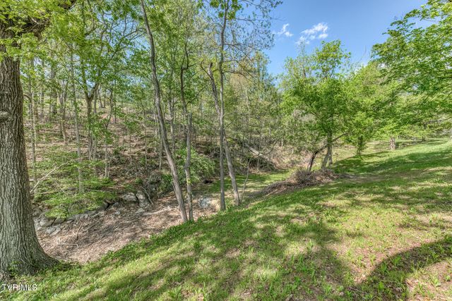 255 Willmary Road, Piney Flats, TN 37686