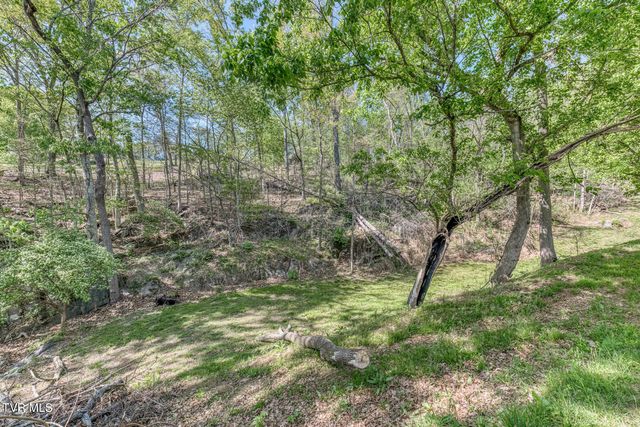 255 Willmary Road, Piney Flats, TN 37686