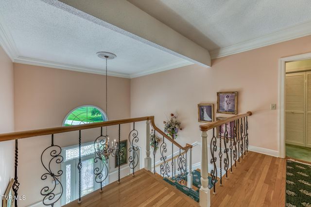 255 Willmary Road, Piney Flats, TN 37686