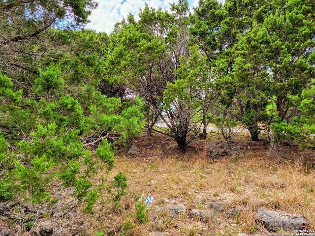 1530 Laurie Dr, Canyon Lake, TX 78133