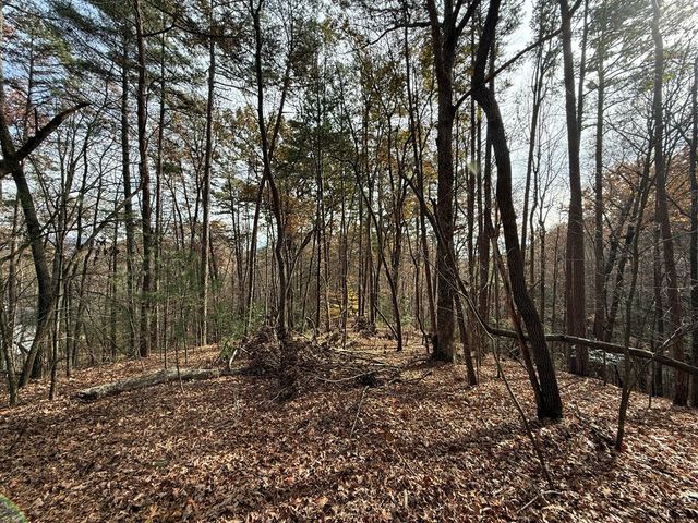 12 North Ridge Drive, Ellijay, GA 30540