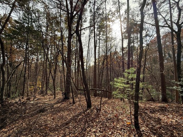 12 North Ridge Drive, Ellijay, GA 30540