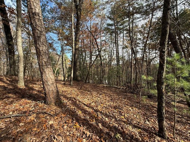 12 North Ridge Drive, Ellijay, GA 30540