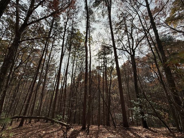 12 North Ridge Drive, Ellijay, GA 30540