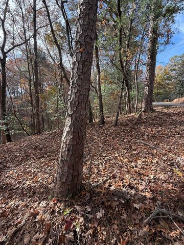 12 North Ridge Drive, Ellijay, GA 30540