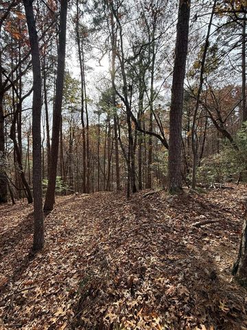 12 North Ridge Drive, Ellijay, GA 30540