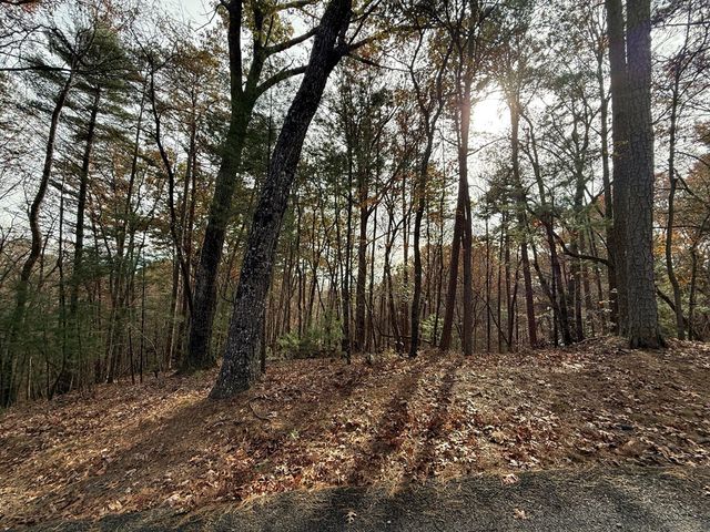 12 North Ridge Drive, Ellijay, GA 30540